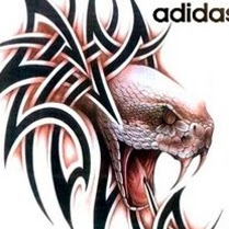 Steven Samuel Photo 51 Steven Samuel Photo 51