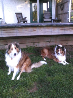 Stephanie Vinson Photo 21