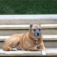 Becky Parrish Photo 20