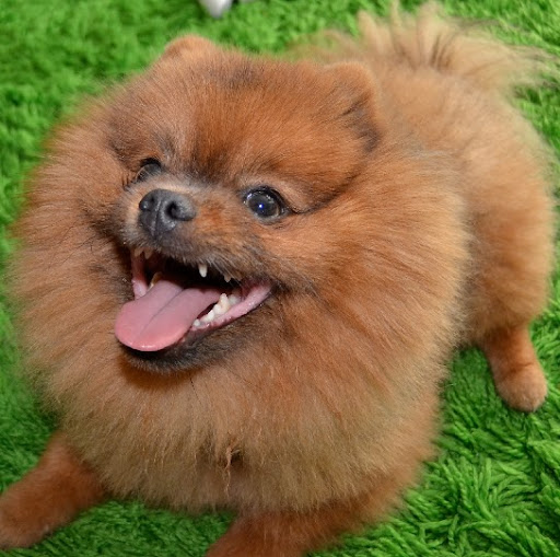 Brian Finkelstein Photo 16