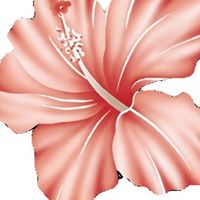 Kevin Pollack Photo 18