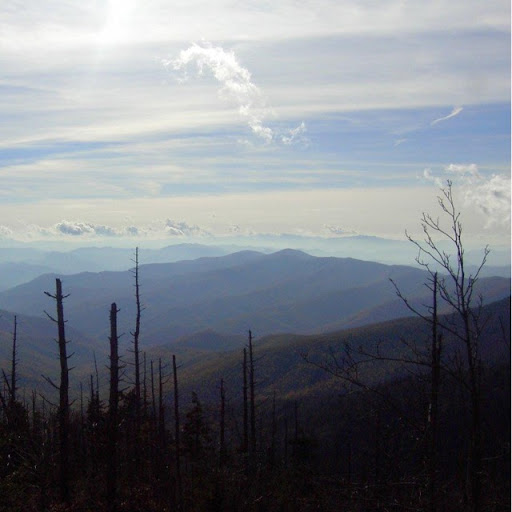 Lawrence Adkins Photo 9