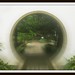 Tony Chau Photo 8