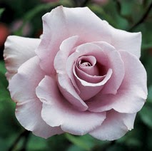 Pauline Baker Photo 33