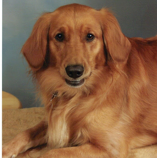 Robin Workman Photo 5