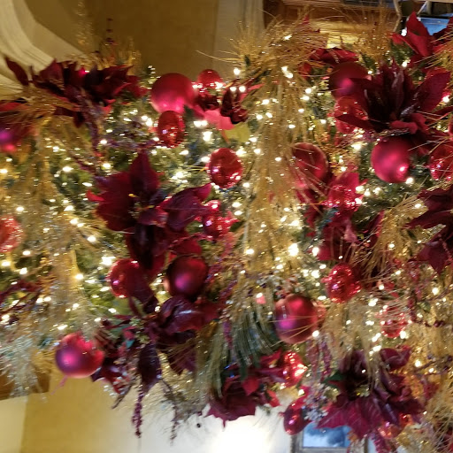 Matthew Vang Photo 19