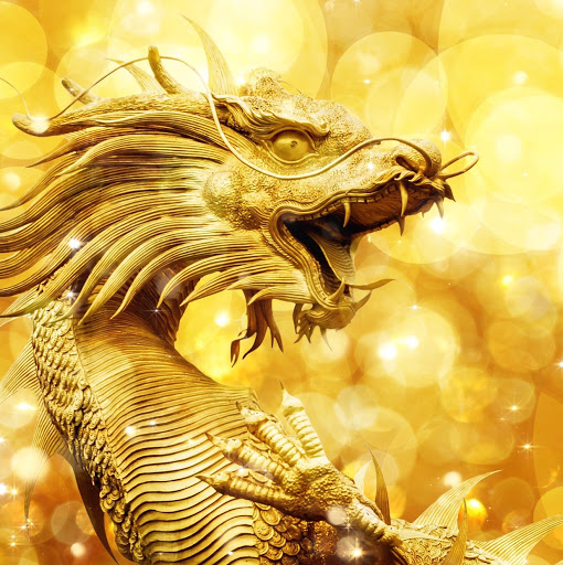 William Jamieson Photo 28