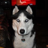 Roger Draper Photo 10 Roger Draper Photo 10