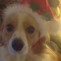 Helen Meyer Photo 12