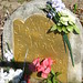 James Ware Photo 16