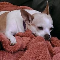 Marilyn Nolan Photo 30