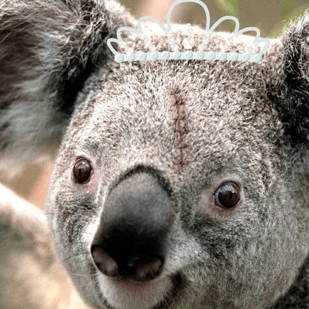 Jessica Magee Photo 12