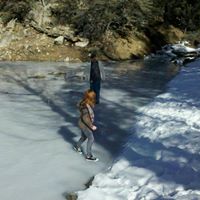 Joshua Rutledge Photo 15