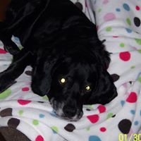 Jennifer Clements Photo 25