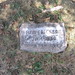 Ann Erickson Photo 12