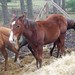 Stacy Dunning Photo 15