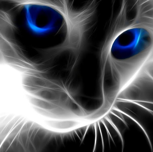 John Wills Photo 45 John Wills Photo 45