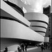 Frank Siegel Photo 9