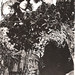 Dorothy Hunt Photo 8