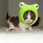 Simon Lin Photo 29 Simon Lin Photo 29