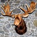 Sarah Maines Photo 26