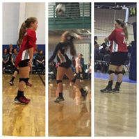 Melissa Harrell Photo 14