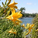Joann Bloom Photo 14