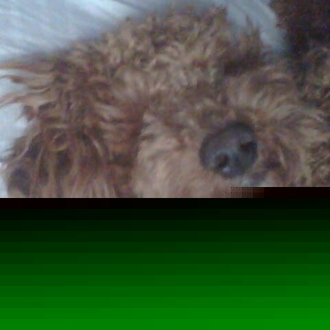 Jonathan Card Photo 4