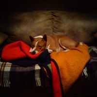 Marc Ball Photo 17