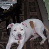 Debra Jordan Photo 21