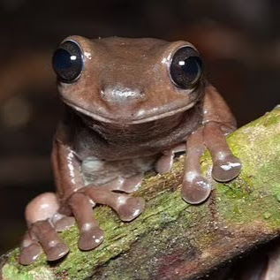 Julia Fuller Photo 18