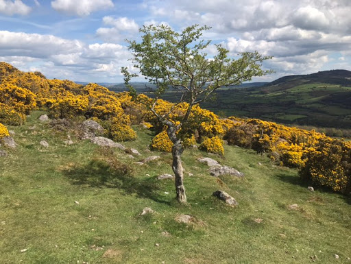 Margaret Mccarthy Photo 16 Margaret Mccarthy Photo 16