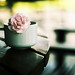 Victor Summers Photo 22