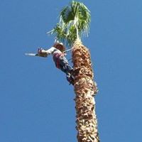 Ramon Contreras Photo 21