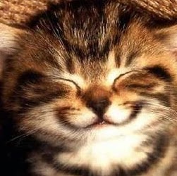 Ginger Cooper Photo 30