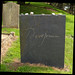 Derek Graves Photo 18