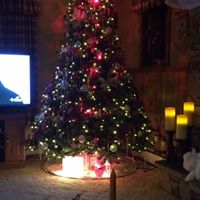Lisa Schrock Photo 7