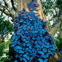 Kristina Donovan Photo 25