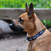 Roger Tryon Photo 8