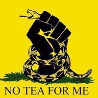 Cathy Chamberlain Photo 13