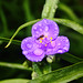 Mary Dew Photo 34