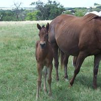 Jeanette Kessler Photo 12