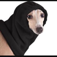 Sam Weinstein Photo 13