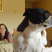 Julie Hampton Photo 10