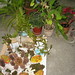Maria Benner Photo 14
