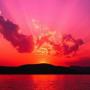 Justin Perkins Photo 24