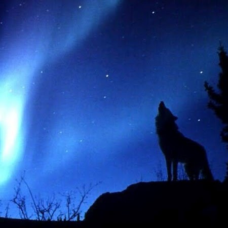 Jeremy Sellers Photo 12