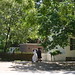 Mary Stith Photo 13