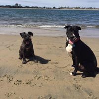 Jeremy Waller Photo 23