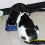 Lisa Stilwell Photo 9